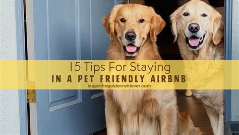 airbnb dog friendly|United Kingdom Pet